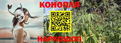 PSILOCYBIN Северобайкальск